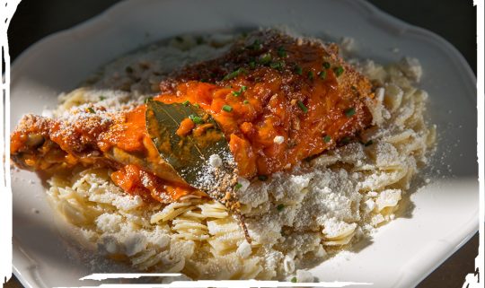 Rooster in red sauce with noodles
